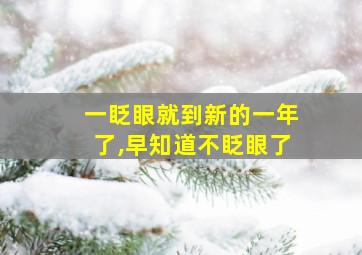 一眨眼就到新的一年了,早知道不眨眼了