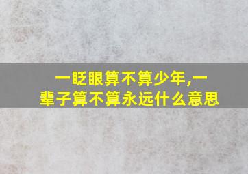 一眨眼算不算少年,一辈子算不算永远什么意思