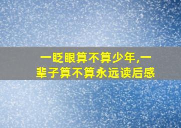 一眨眼算不算少年,一辈子算不算永远读后感