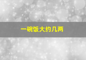 一碗饭大约几两