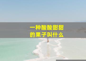 一种酸酸甜甜的果子叫什么