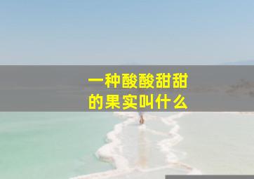 一种酸酸甜甜的果实叫什么