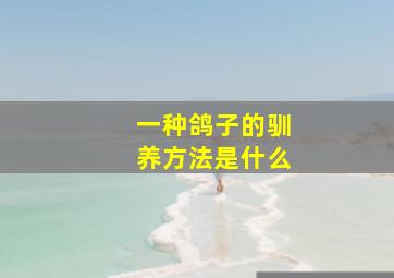 一种鸽子的驯养方法是什么