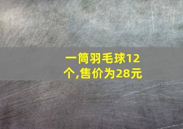 一筒羽毛球12个,售价为28元