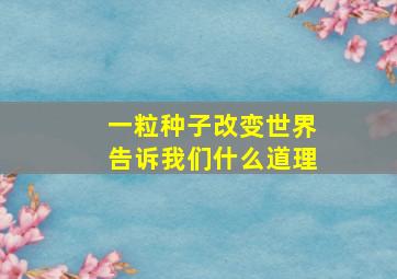 一粒种子改变世界告诉我们什么道理