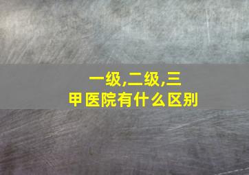 一级,二级,三甲医院有什么区别