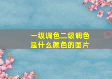 一级调色二级调色是什么颜色的图片