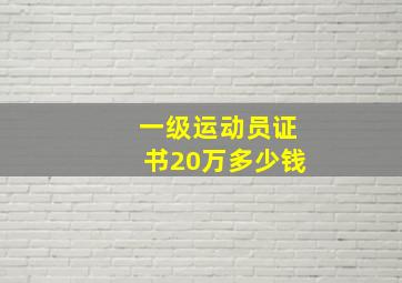 一级运动员证书20万多少钱