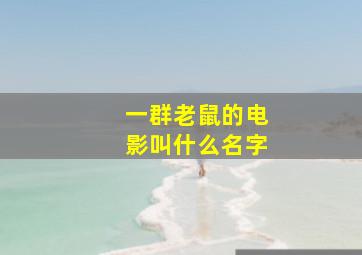 一群老鼠的电影叫什么名字