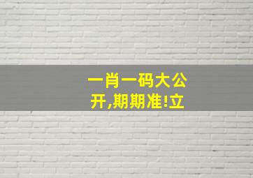 一肖一码大公开,期期准!立