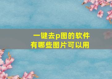 一键去p图的软件有哪些图片可以用