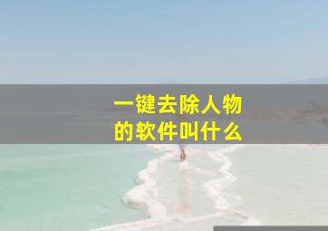 一键去除人物的软件叫什么