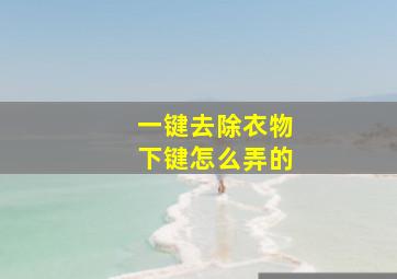 一键去除衣物下键怎么弄的