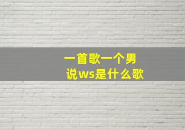 一首歌一个男说ws是什么歌