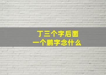 丁三个字后面一个鹏字念什么