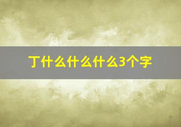 丁什么什么什么3个字