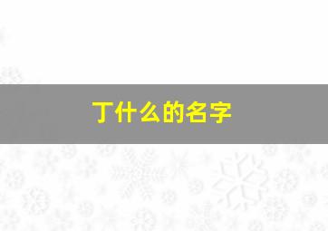 丁什么的名字