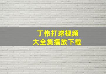 丁伟打球视频大全集播放下载