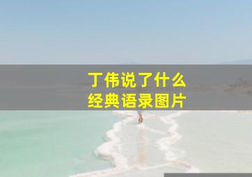 丁伟说了什么经典语录图片