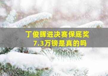 丁俊晖进决赛保底奖7.3万镑是真的吗