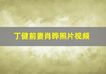 丁健前妻肖晔照片视频