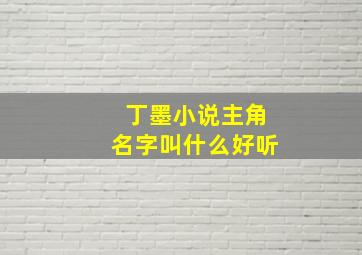 丁墨小说主角名字叫什么好听