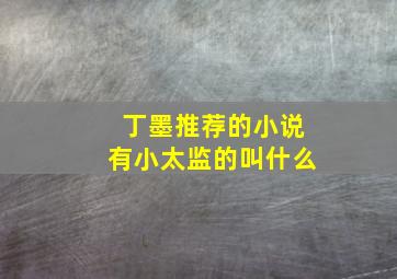 丁墨推荐的小说有小太监的叫什么