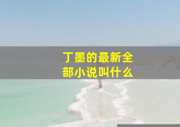 丁墨的最新全部小说叫什么