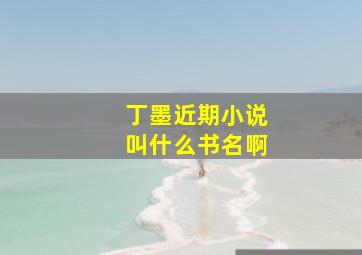 丁墨近期小说叫什么书名啊