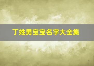 丁姓男宝宝名字大全集