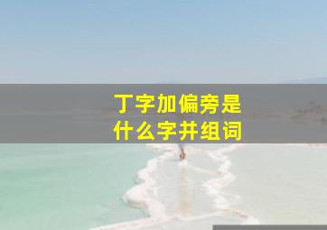 丁字加偏旁是什么字并组词