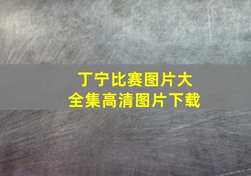 丁宁比赛图片大全集高清图片下载