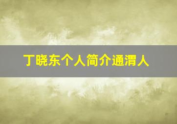 丁晓东个人简介通渭人