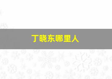 丁晓东哪里人