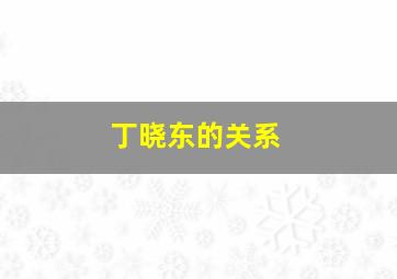 丁晓东的关系