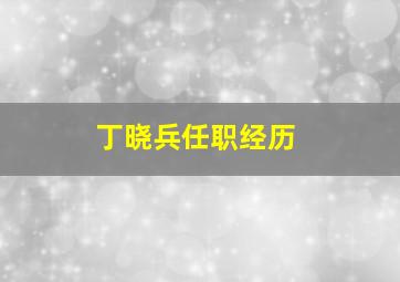 丁晓兵任职经历