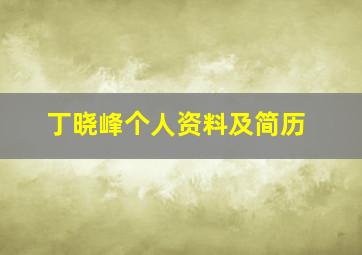 丁晓峰个人资料及简历