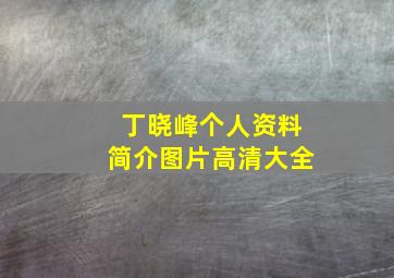 丁晓峰个人资料简介图片高清大全