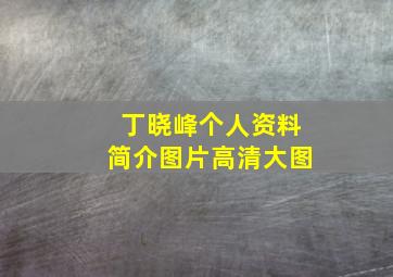 丁晓峰个人资料简介图片高清大图