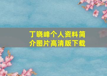 丁晓峰个人资料简介图片高清版下载