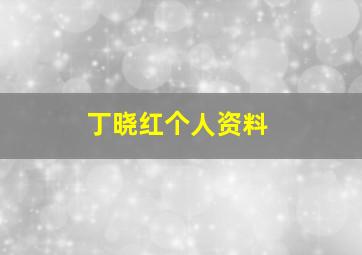 丁晓红个人资料