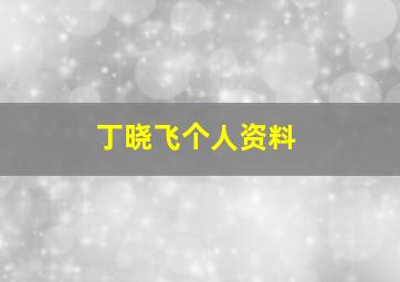 丁晓飞个人资料