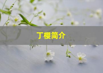 丁樱简介