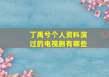 丁禹兮个人资料演过的电视剧有哪些