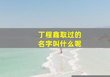 丁程鑫取过的名字叫什么呢