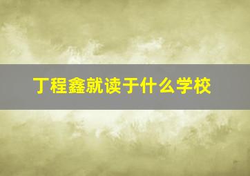 丁程鑫就读于什么学校