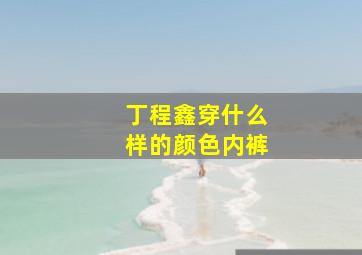 丁程鑫穿什么样的颜色内裤