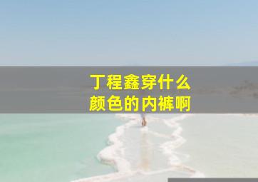 丁程鑫穿什么颜色的内裤啊