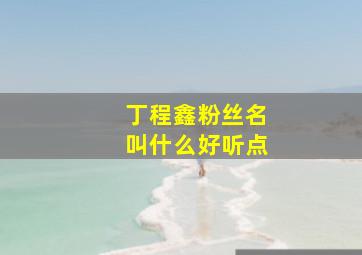 丁程鑫粉丝名叫什么好听点