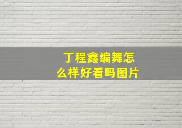 丁程鑫编舞怎么样好看吗图片